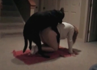 Gentle fuck with a lovely puppy