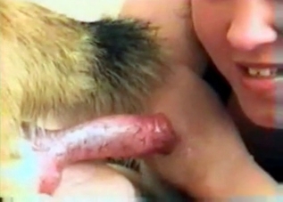 Hot chick is fucking with a puppy